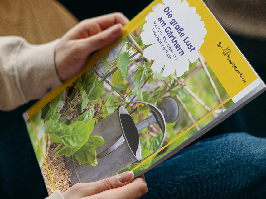 2025 Webseitebilder7